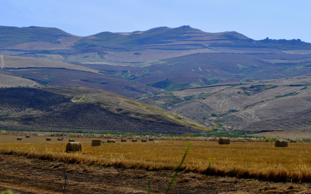 CarbonEtica Sicilia-2