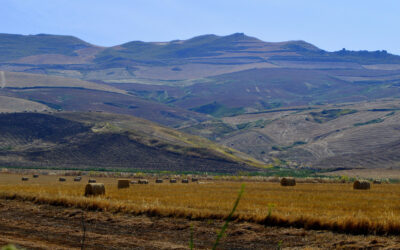 CarbonEtica Sicilia-2